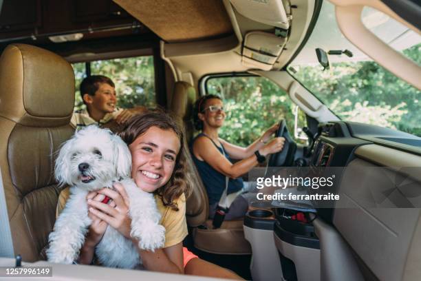 familie auf rv road trip - family dog stock-fotos und bilder