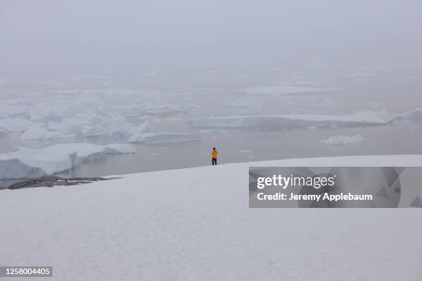 man standing on desolate antarctic landscape - antarctica people stock pictures, royalty-free photos & images
