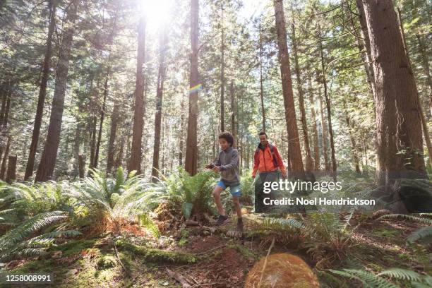 mom and son hiking through a glade with ferns - african american hiking stock-fotos und bilder