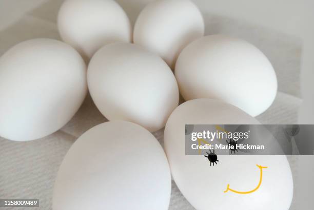 group of eggs, one egg has a smiley face drawn on it. - zinc face stock pictures, royalty-free photos & images