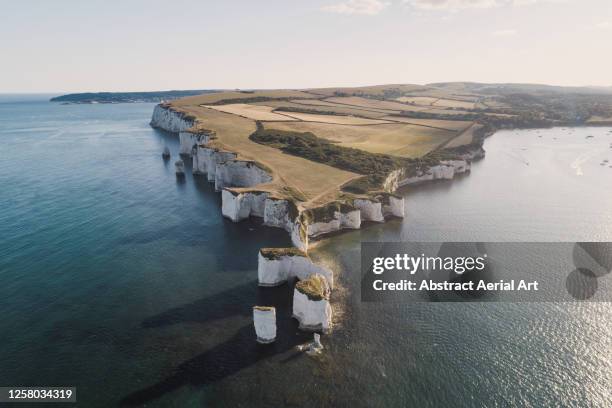 high angle view showing old harry rocks and dorset coastline, england, united kingdom - dorset fotografías e imágenes de stock