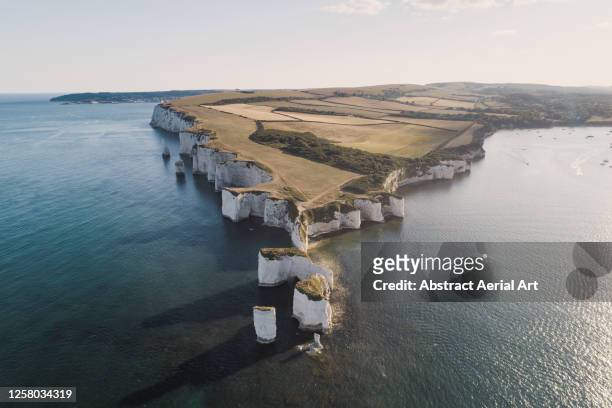 high angle view showing old harry rocks and dorset coastline, england, united kingdom - costa caratteristica costiera foto e immagini stock