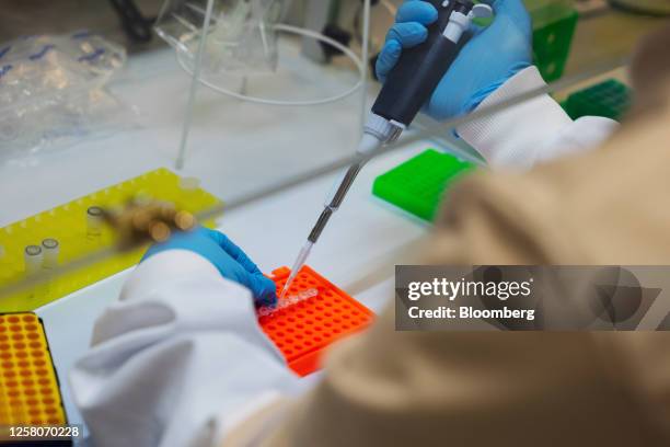 Researcher works in a laboratory, using genome sequencing equipment manufactured by Oxford Nanopore Technologies Ltd., at Guy's and St Thomas's...