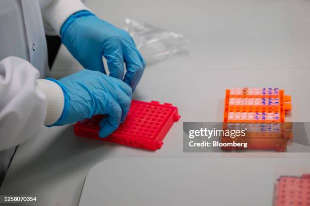 Researcher works in a laboratory, using genome sequencing equipment manufactured by Oxford Nanopore Technologies Ltd., at Guy's and St Thomas's...