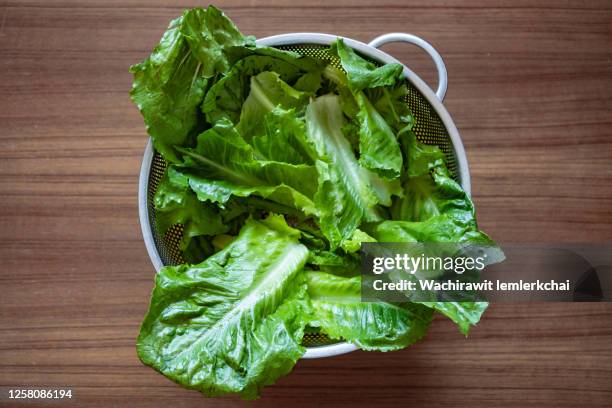 cos lettuce in a colander - green salad foto e immagini stock