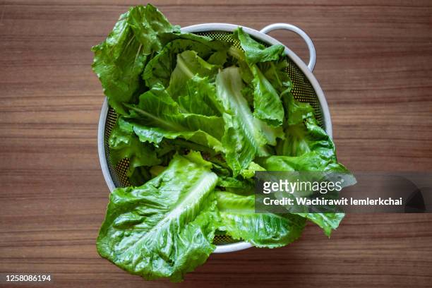 cos lettuce in a colander - lettuce stock pictures, royalty-free photos & images