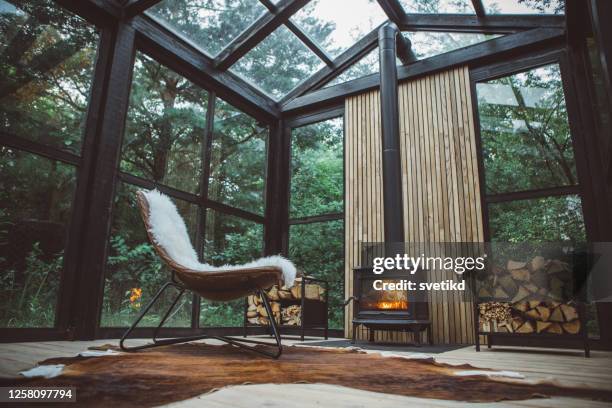 comfortable arranged greenhouse - fireplace forest stock pictures, royalty-free photos & images