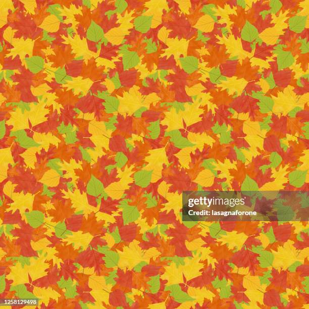autumn leavers hand drawn seamless pattern - ash tree stock illustrations
