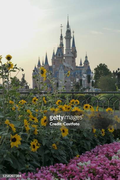 General view of Disneyland in Shanghai, China, May 25, 2023. Shanghai Disney has raised prices four times since it was built, three of them before...