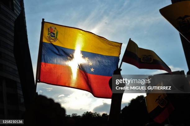 Supporters of Ecuadorean President Rafael Correa hold Ecuadorean flags during a demonstration in front of the Ecuador's embassy in Caracas,...
