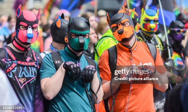 May 2023, Lower Saxony, Hanover: Participants walk through the city center as puppies on Christopher Street Day . Among other things, the...