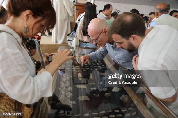 People examine antique artifacts' fragments at Saqqara region in Giza, Egypt on May 27, 2023. Minister of Tourism and Antiquities Ahmed Issa...