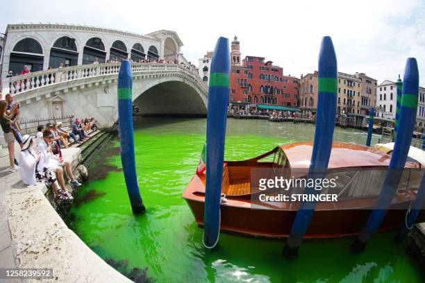 Photo taken and made available on May 28, 2023 by Italian news agency Ansa, shows fluorescent green waters below the Rialto Bridge in Venice's Grand...