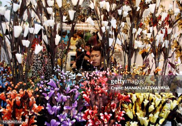 An exhibitor waits for customers at the Thai pavilion during the 28th India International Trade Fair in New Delhi on November 18, 2008. Forty-four...