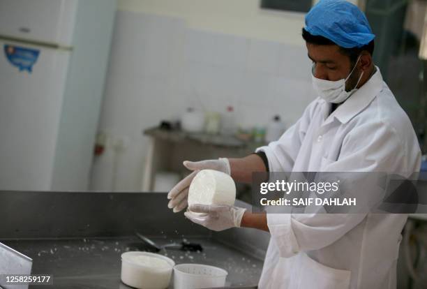 Palestinian employee makes mozzarella cheese in the dairy unit of the Palestinian Livestock Development Center in the rural northern West Bank town...