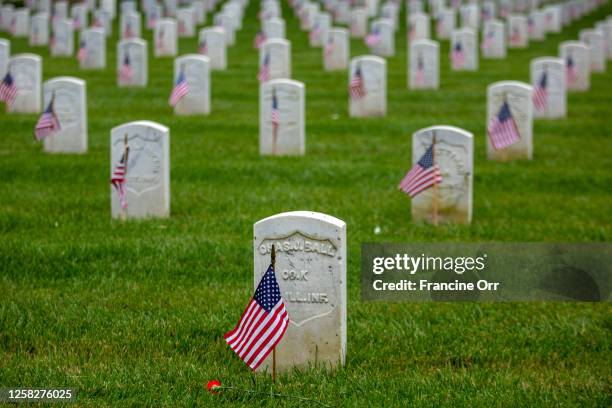 Los Angeles, CA In preparation for Memorial Day volunteers are placing carnations at each grave in the Los Angeles National Cemetery in the West Los...