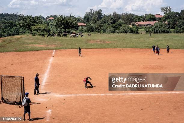 Ugandan baseball player Dennis Kasumba who dreams of becoming Uganda's first US Major League Baseball player trains with players at Gayaza Baseball...
