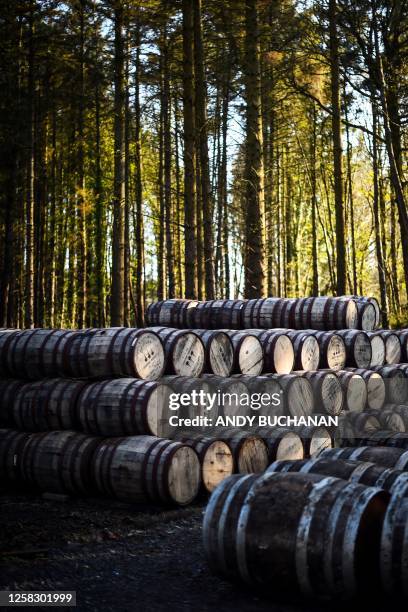 Photograph taken on April 21, 2023 shows empty casks waiting to be filled and stored for a minimum of three years before the product can be called...