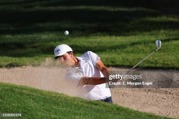 Fred Biondi of the Florida Gators hits out of the bunker against the Florida State Seminoles during the Division I Men's Golf Championship held at...