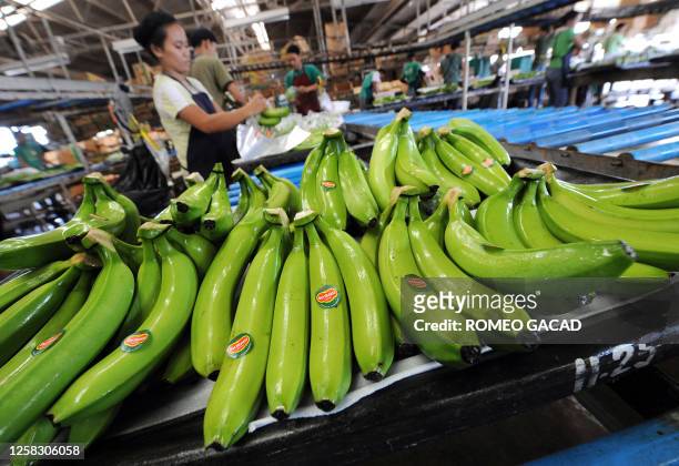Inflation-poverty-food-Philippines-agriculture-reform,FEATURE by Cecil Morella Workers pack freshly harvested bananas at the processing plant of the...