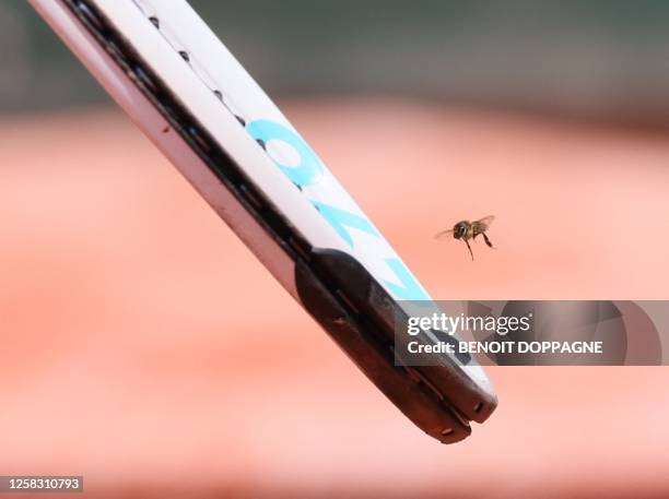 Illustration shows an insect near the tennis racket of Elise Mertens during a tennis match between Belgian Mertens and Colombian Osorio, in the...