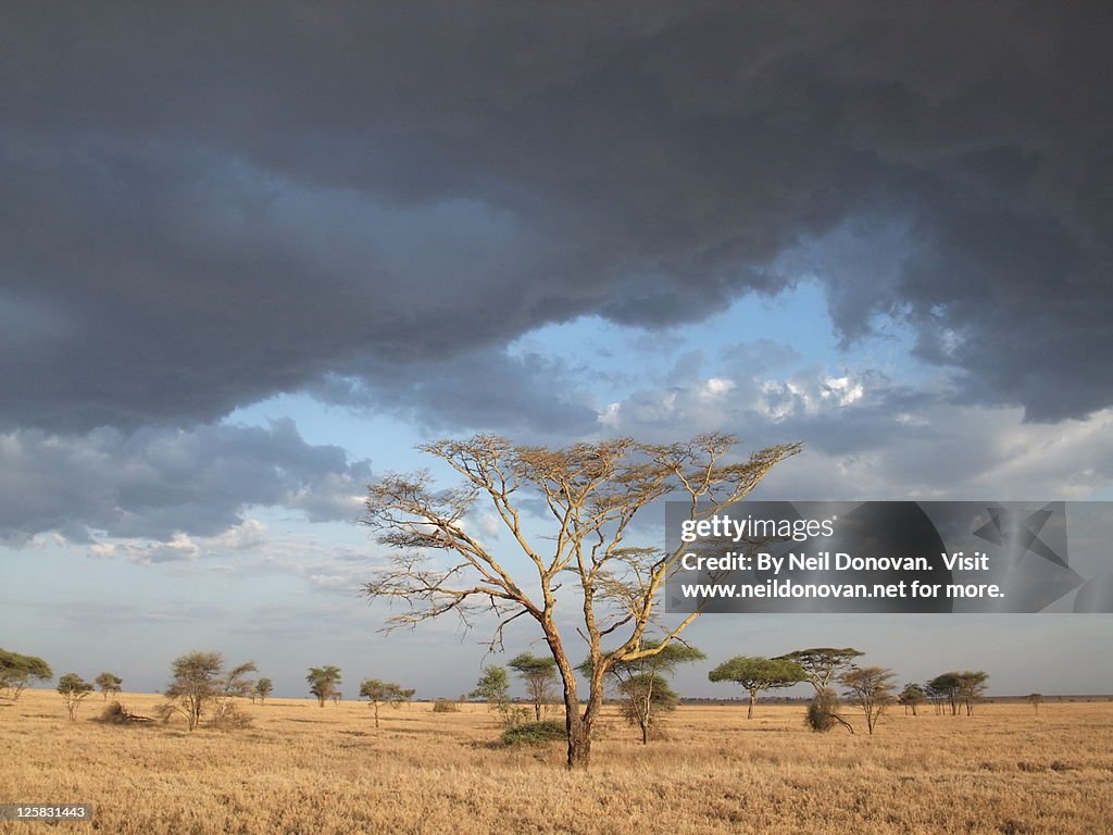 Storm brewing