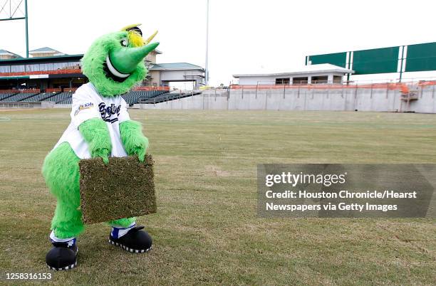 "Swatson" the Sugar Land Skeeters mascot has a bit of fun with a piece of the TifSport Bermuda grass from Poteet, Texas, installed on Constellation...