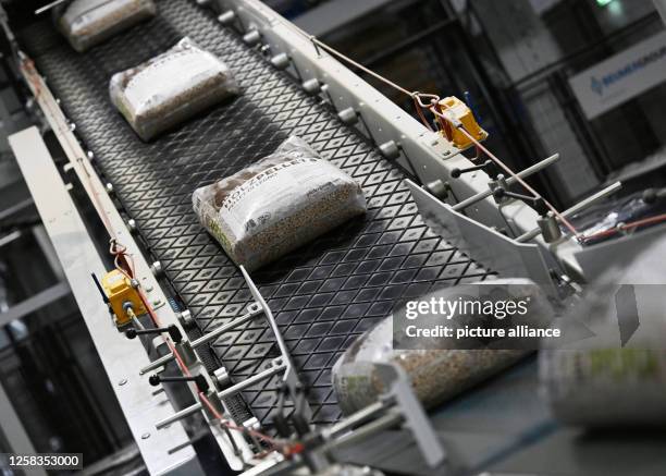 May 2023, Bavaria, Unterbernbach: Finished wood pellets packed in bags run along the conveyor belt in a sawmill - taken during an excursion along the...