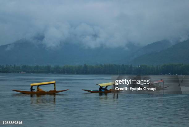 June 01 Srinagar Kashmir, India : Boatmen row their boats on the waters of Dal Lake during rainfall in Srinagar. Kashmir is witnessing inclement...