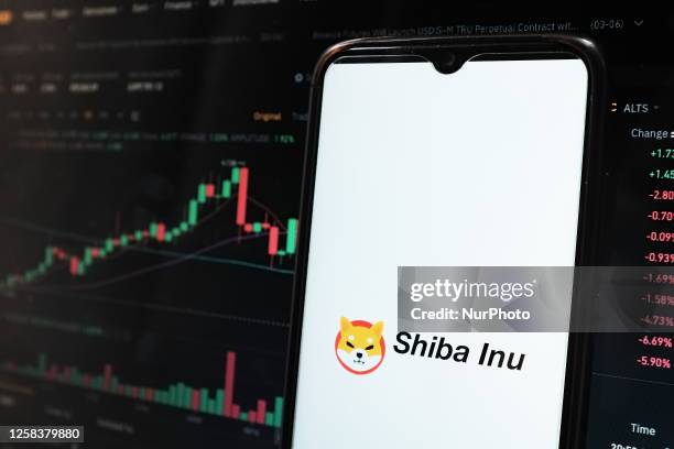 In this photo illustration a Shiba Inu coin logo seen displayed on a smartphone screen and an Exchange graph on a MacBook screen in Athens, Greece on...