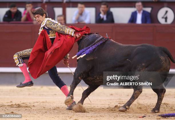 Bullfighter Injuries 312 Bull Fighting Injury Stock Photos, High-Res Pictures, and Images ...