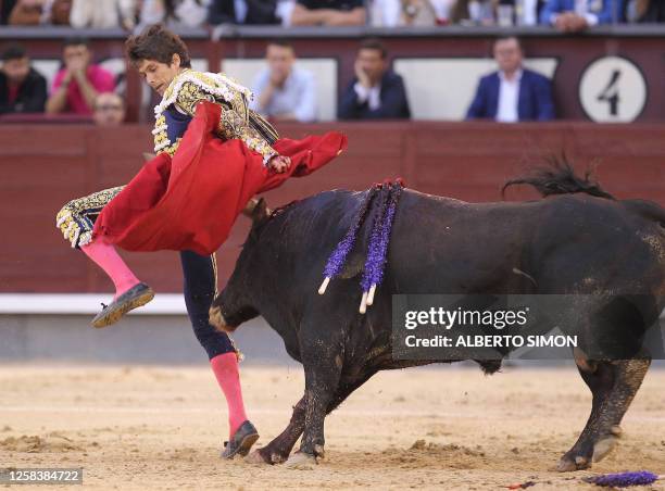 Bullfighter Injuries 339 Bull Fighting Injury Stock Photos, High-Res Pictures, and Images ...