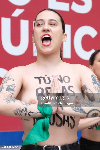 Image contains nudity.) An activist of feminist group FEMEN with her bare chest painted with a message saying "You don't pray, you harass" chants...