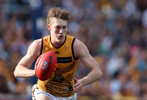 Josh Weddle of the Hawks during the 2023 AFL Round 12 match between the Port Adelaide Power and the Hawthorn Hawks at Adelaide Oval on June 3, 2023...