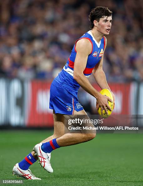 AFL Rd 12 - Western Bulldogs v Geelong AFL Rd 12 - Western Bulldogs v Geelong