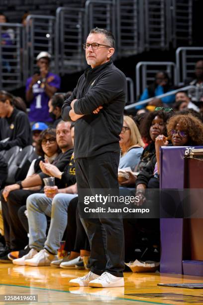 Head Coach Curt Miller of the Los Angeles Sparks looks on during the game against the Seattle Storm on June 3, 2023 at Crypto.Com Arena in Los...