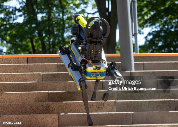 Spot", the walking robot demonstrates security of the future, in a presentation by the NRW police innovation laboratory at the Museum Mile Festival...