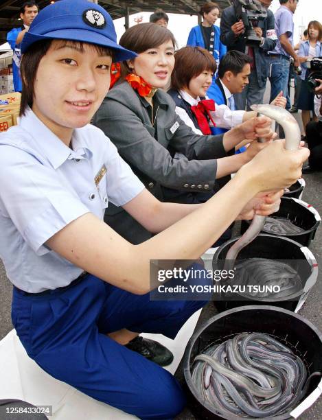 Custom officer Nana Miki and Japan Asia Airways flight attendants catch live eels imported from Taiwan for custom clearance at the New Tokyo...