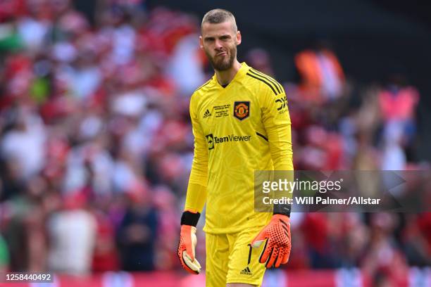 David De Gea, goalkeeper of Manchester United looks dejected during the Emirates FA Cup Final match between Manchester City and Manchester United at...