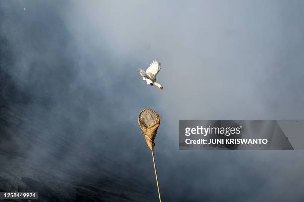 Villager uses a net to catch offerings thrown by members of the Tengger sub-ethnic group in the crater of the active Mount Bromo volcano as part of...