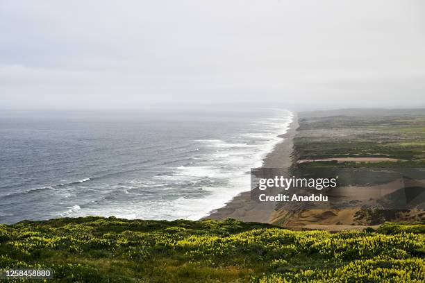 Inverness Rd Point Reyes 78 Aerial Of Point Reyes Stock Photos, High-Res Pictures, and Images ...
