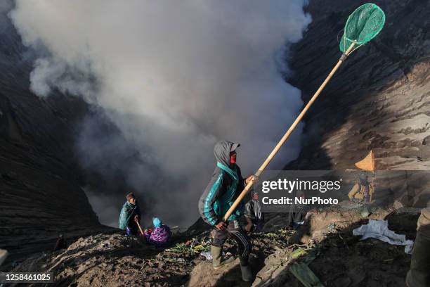 Tenggerese walk and hike carrying agricultural products and livestock to be sacrificed during the Yadnya Kasada Festival at the crater of Mount Bromo...