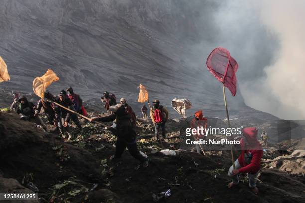 Tenggerese walk and hike carrying agricultural products and livestock to be sacrificed during the Yadnya Kasada Festival at the crater of Mount Bromo...
