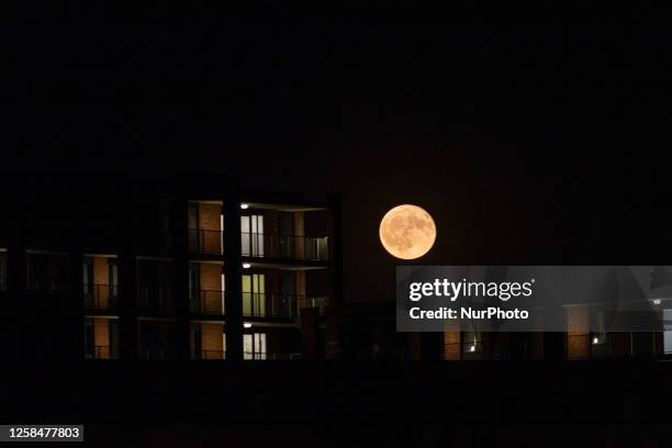 Colorful pink Strawberry moon illuminates the night sky. Close-up of the June full moon, nicknamed as Strawberry moon as seen rising over residential...