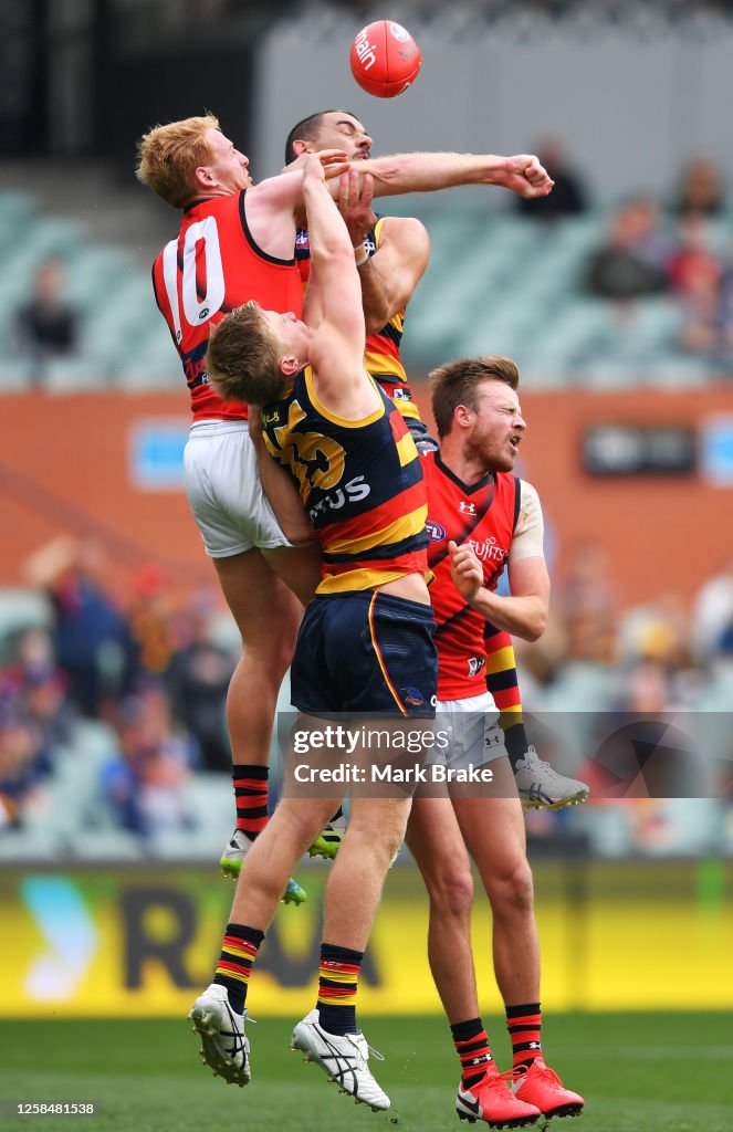 AFL Rd 8 - Adelaide v Essendon