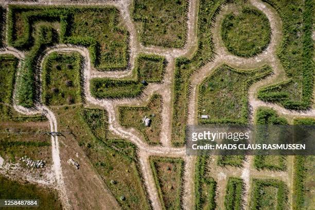 Picture taken on June 6, 2023 shows Gilleleje Labyrinth, where guests must guess their way through the labyrinth's 7km of green paths of willows,...