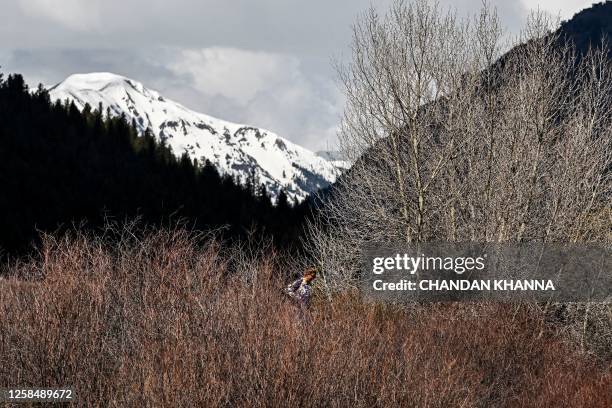 Ultramarathon runner Courtney Dauwalter runs through the mountains near Twin Lakes, Colorado, on May 16, 2023. Dauwalter sits at the apex of an elite...
