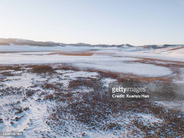 snowy field landscape - snow on grass stock pictures, royalty-free photos & images