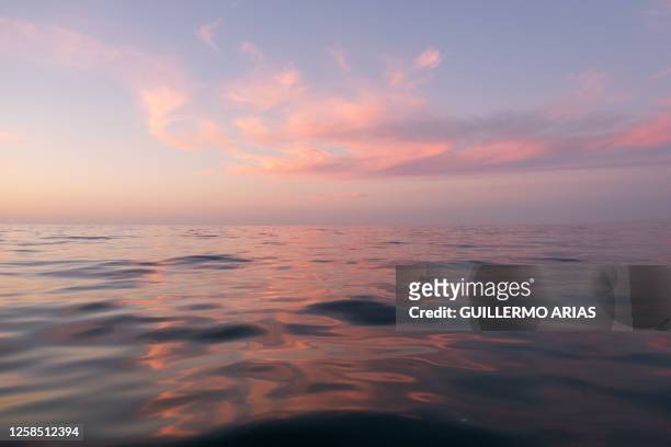 Clouds are reflected on the water of the Sea of Cortes, where scientists, the Shepherd Conservation Society, and Mexican authorities run a census...