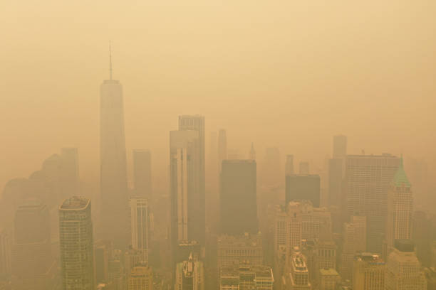New York City is in the midst of an "unprecedented event" as smoke from raging wildfires in Canada envelopes the US's largest city, Mayor Eric Adams...